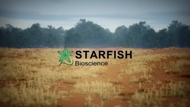 Film d'animation 3D — Starfish