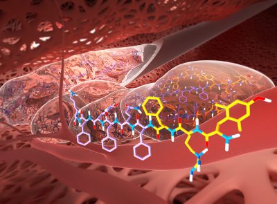 Couverture pour le Journal of Medicinal Chemistry
